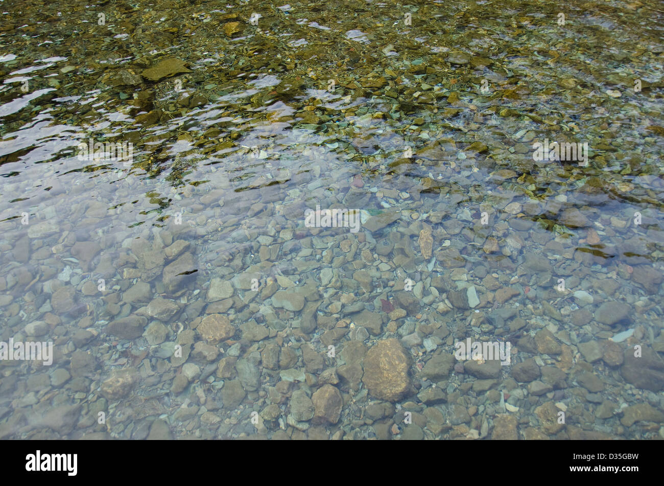Hintergrund der seichten Wasser eines Flusses mit Kies auf dem Boden Stockfoto