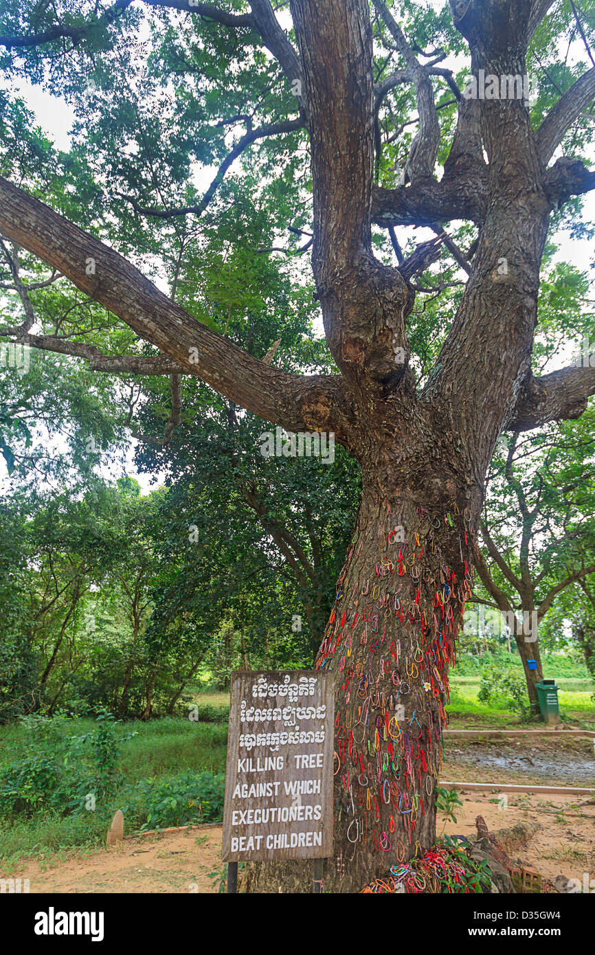 Dieser Baum wurde verwendet, um Kinder zu töten, indem sie gegen den Stamm in Choeung Ek Killing Field bashing. während der Khmer-Rouge-Pol-Pot-Ära Stockfoto