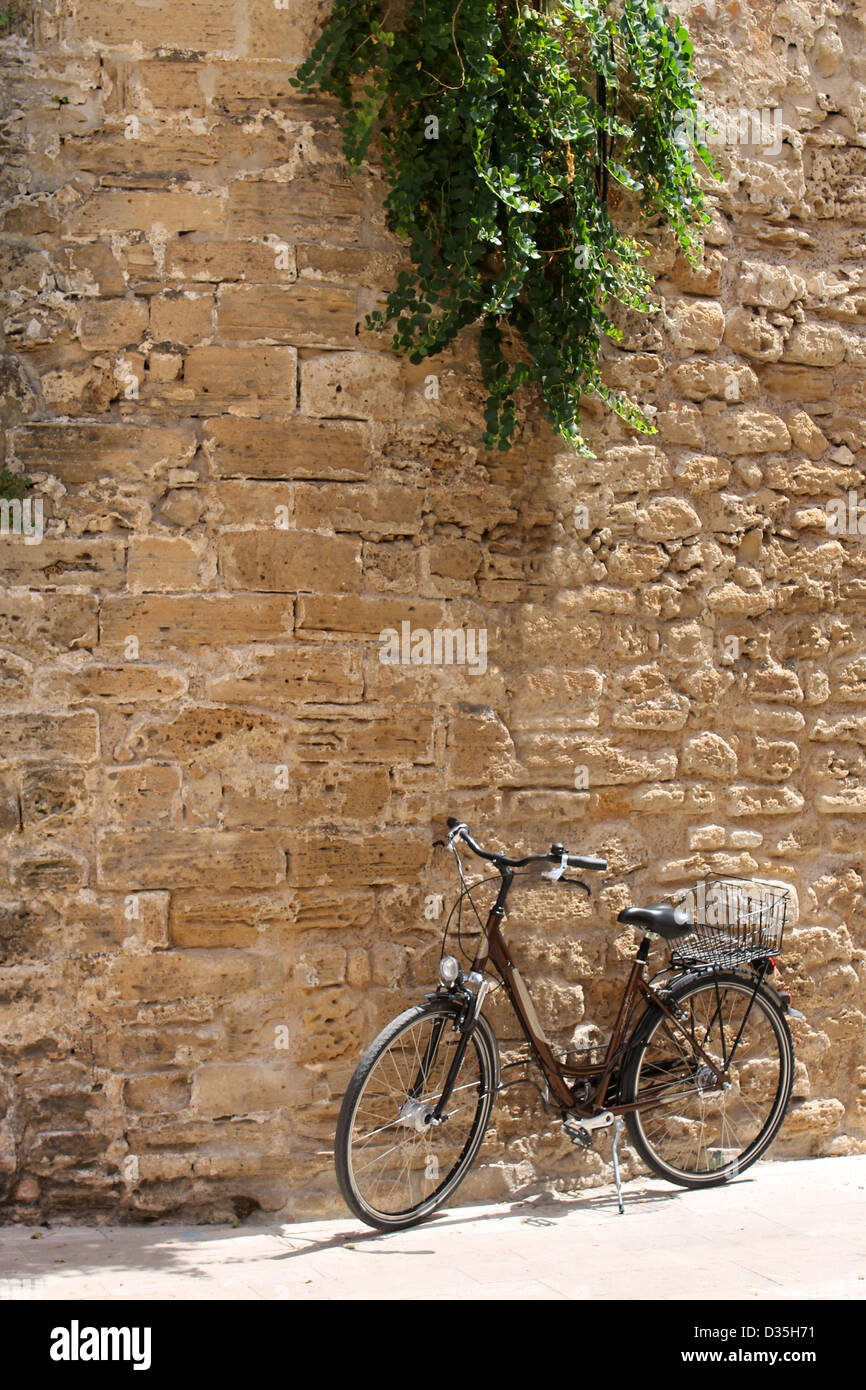 Fahrrad unter Grünpflanze alte Wand gelehnt. Stockfoto