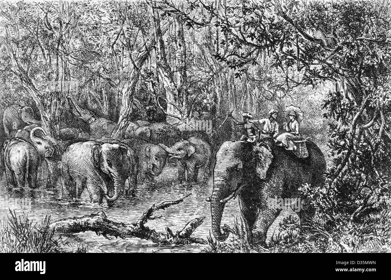 Erste Fahrt des Autors in Perak - Isabella L. Bird und zwei einheimische auf Elefanten, mit anderen Elefanten in Sümpfen, in Perak, Malaya, ca. 1883 Stockfoto