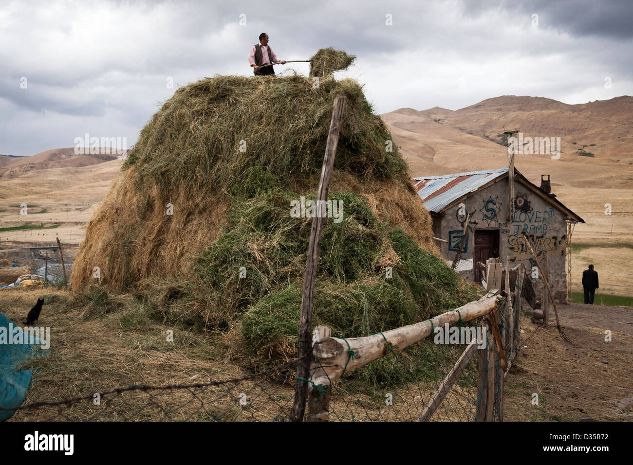 Ein kirgisischen Mann Stapeln Heu in die Neuansiedlung Dorf von Ulupamir, Ost-Türkei. Stockfoto