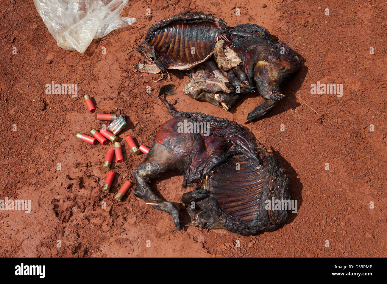 Kongo, 27. September 2012: Ecoguards Patrouille eine Fläche von Wald wo keine Jagd darf stoppen einen Wilderer mit Buschfleisch. Stockfoto
