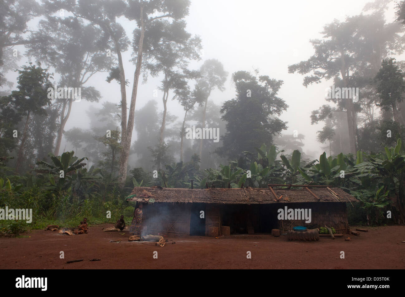 Kongo, 29. September 2012: am frühen Morgen Nebel über den Wald als ein Bata Zwerg Familie kochen ihr Frühstück. Stockfoto