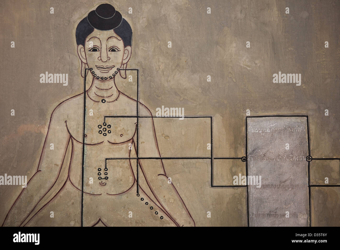 Thailand Tempel, Bangkok Kultur mit Wandmalerei von Akupunkturpunkten eines Mannes im Wat Po in Bangkok Stockfoto