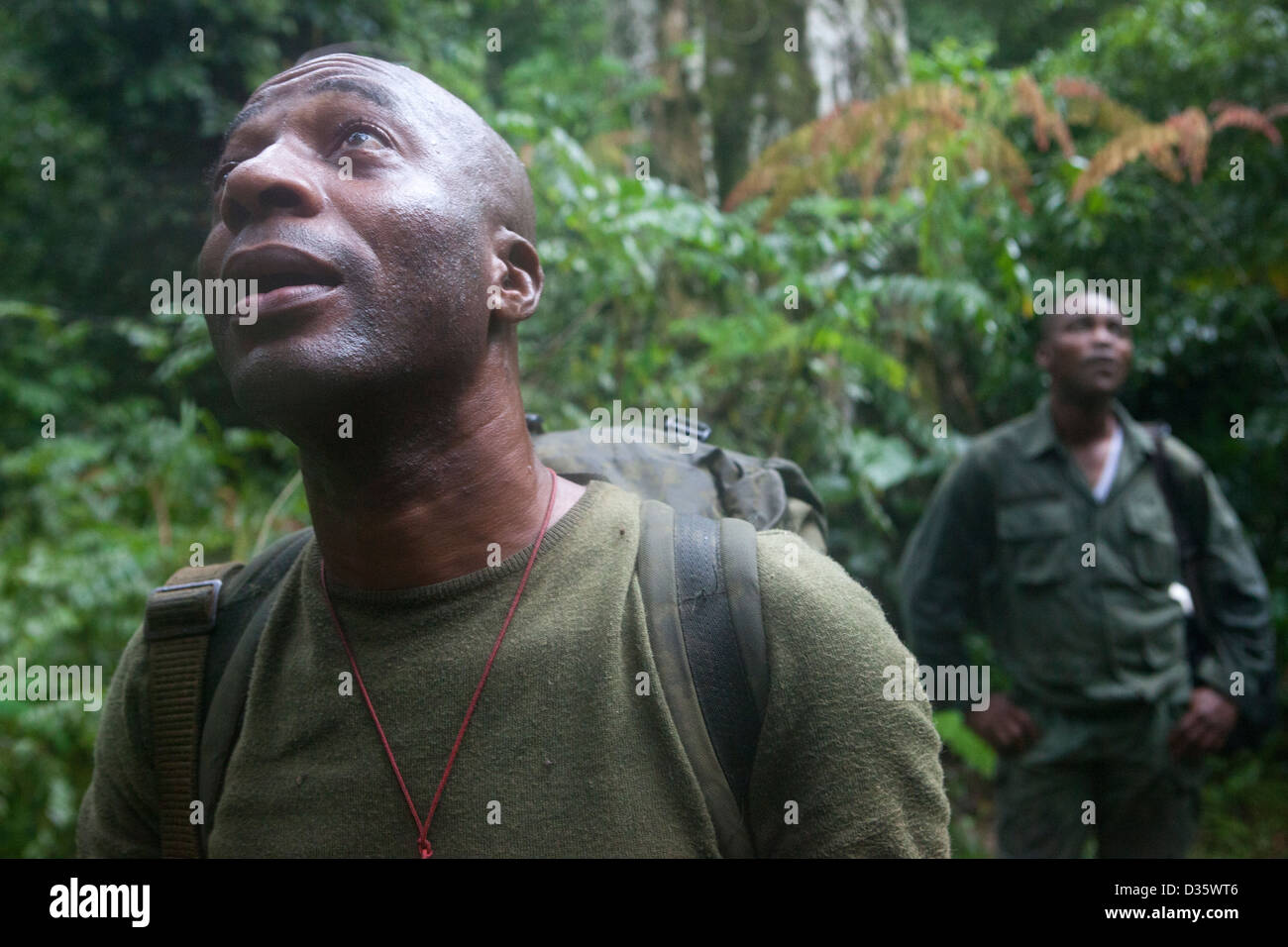 Kongo, 29. September 2012: Ecoguards aus Kamerun und Gabun auf Patrouille der Messok Dja Nationalpark anhören Affen oben aufrufen. Stockfoto