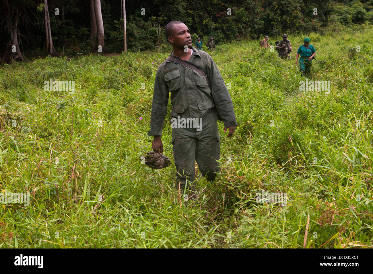 Kongo, 29. September 2012: Ecoguards aus Kamerun und Gabun auf Patrouille der Messok Dja Nationalpark anhören Affen oben aufrufen. Stockfoto