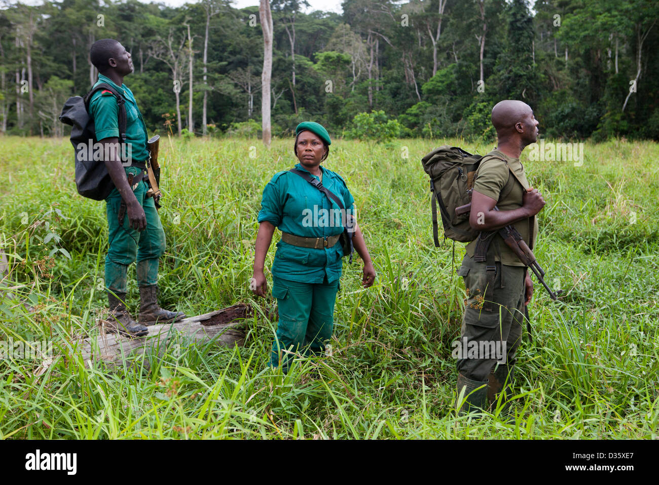 Kongo, 29. September 2012: Sidone Aseme, eine weibliche kamerunischen Dozententraining ist in einer Bi-nationalen Gruppe von Ecoguards aus Kamerun und Gabun Patrouille auf der Suche nach Beweisen für Wildtiere Wilderei. Stockfoto
