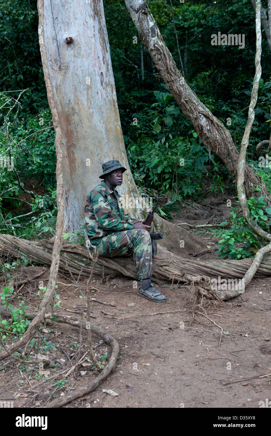 Kongo, 29. September 2012: eine Gruppe von Ecoguards aus Kamerun und Gabun patrouillieren die Messok Dja-Nationalpark, auf der Suche nach Beweisen für Wildtiere Wilderei. Stockfoto