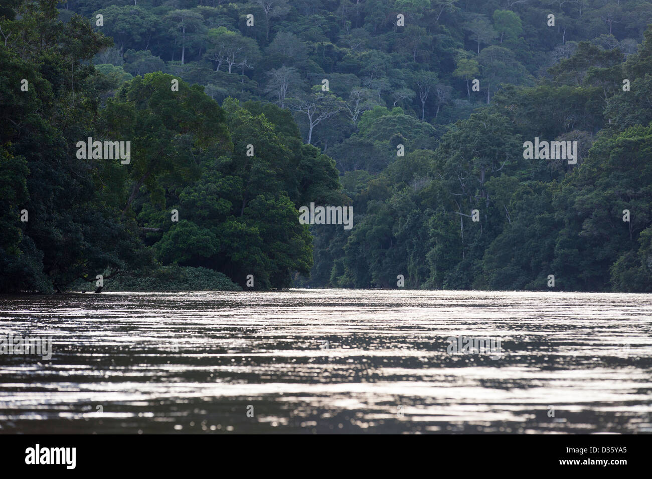 Kongo, 29. September 2012: The Dja River und der Messok-Dja-Nationalpark.  Die Dja-Fluss bildet die Grenze zwischen Kamerun und Kongo. Stockfoto