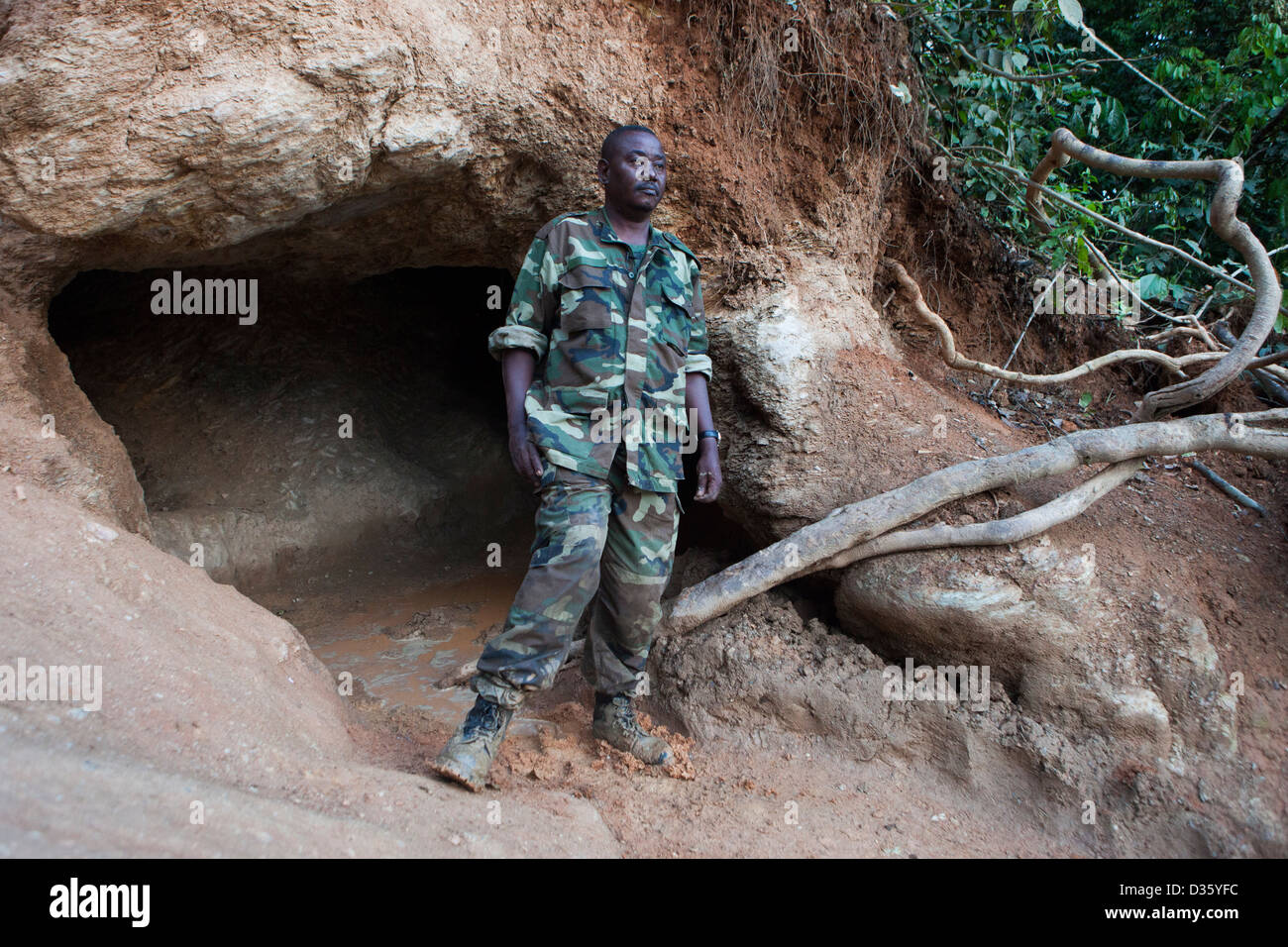 Kongo, 26. September 2012: Victor Mbolo neben einem Elefanten-Leckstein am Fluss Dja.  Waldelefanten kommen hier regelmäßig zu Mineralien, die sie benötigen. Stockfoto