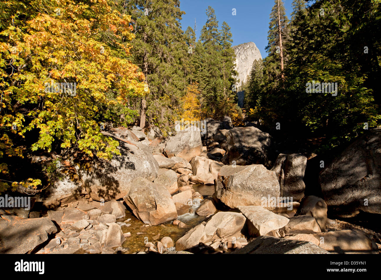 Wald, Fluss und Bergen von Yosemite-Nationalpark, Kalifornien, Vereinigte Staaten von Amerika, USA Stockfoto