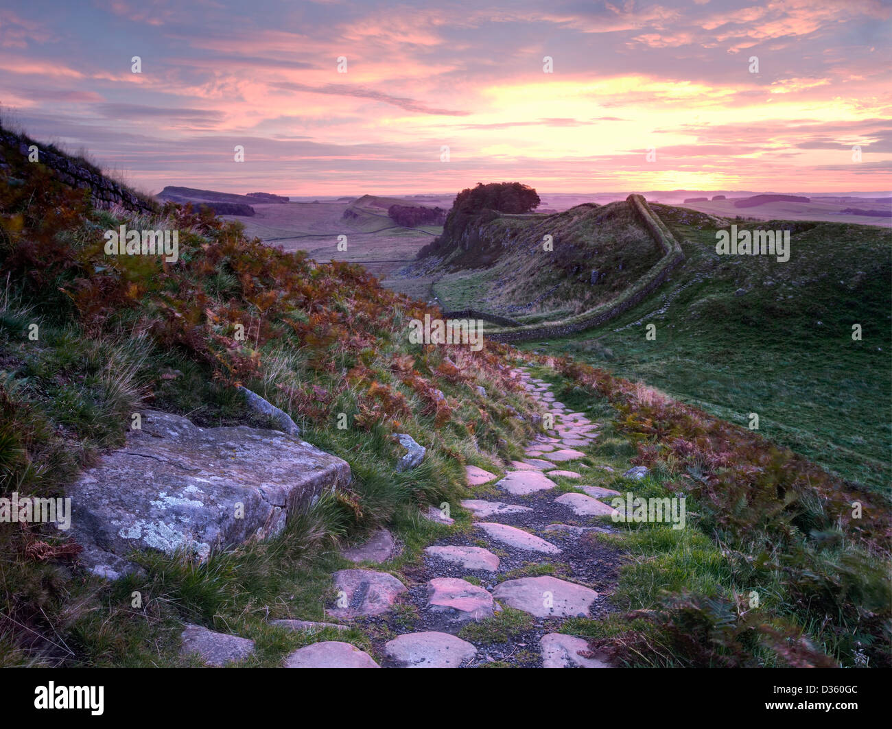 Der Roman Wall bei Sonnenaufgang mit Blick auf die aufgehende Sonne im Osten nahe Housesteads Roman Fort in Northumberland Stockfoto