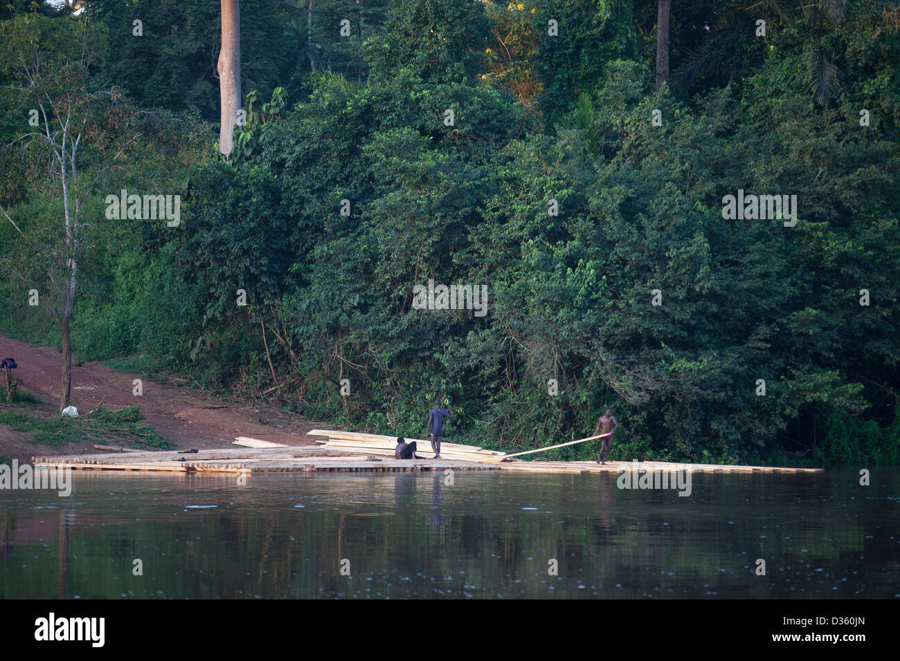 Kongo, 26. September 2012: diese Menschen bauen ein Floß illegal geschlagenen Holzes flussabwärts zum Verkauf zu schweben. Stockfoto