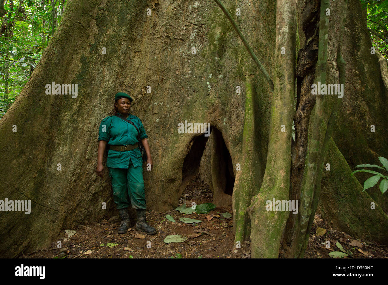 Kongo, 29. September 2012: Sidone Aseme, eine weibliche kamerunischen Dozententraining ist in einer Bi-nationalen Gruppe von Ecoguards aus Kamerun und Gabun Patrouille auf der Suche nach Beweisen für Wildtiere Wilderei. Stockfoto