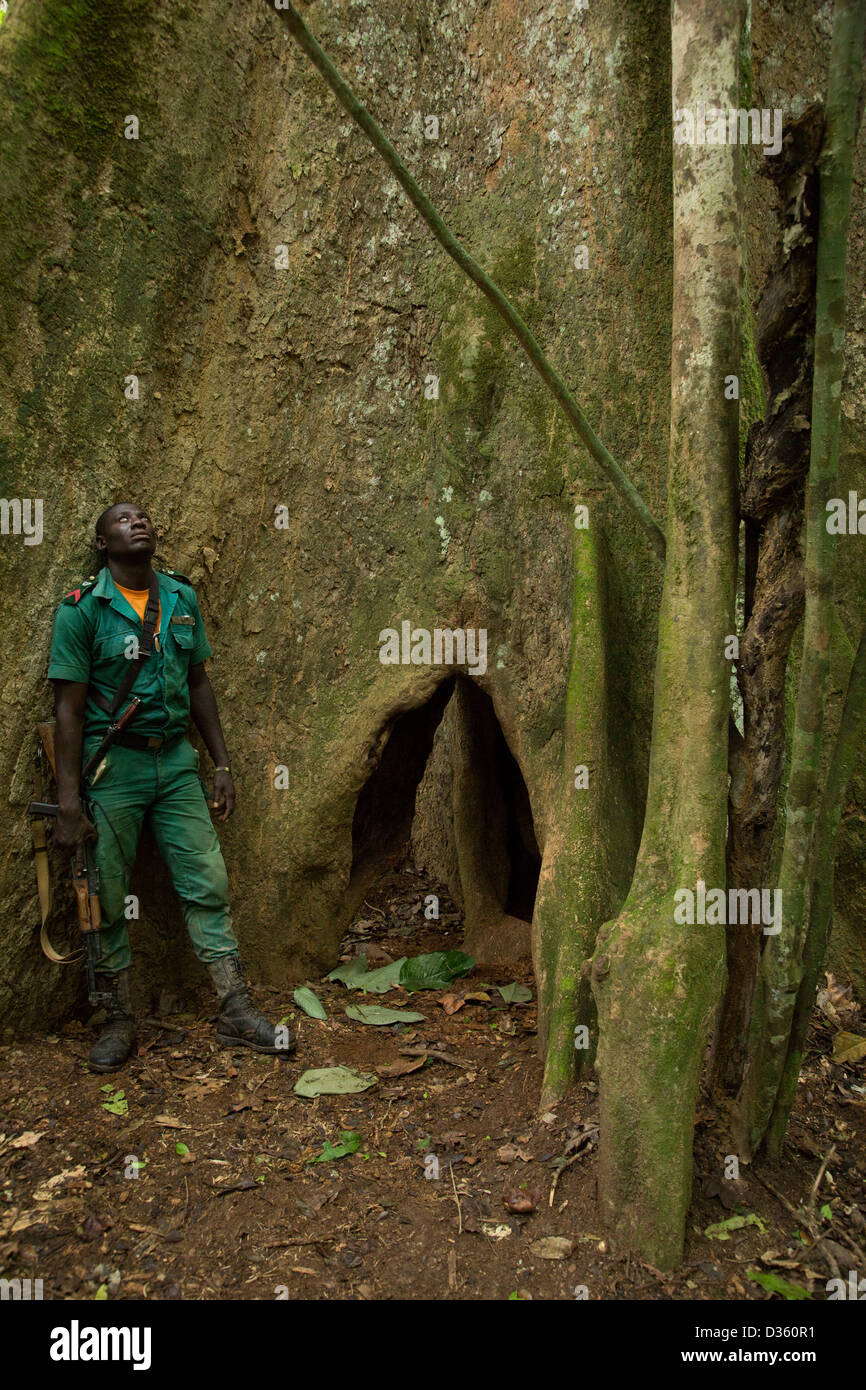 Kongo, 29. September 2012: eine Bi-nationale Gruppe von Ecoguards aus Kamerun und Gabun Patrouille auf der Suche nach Beweisen für Wildtiere Wilderei. Stockfoto