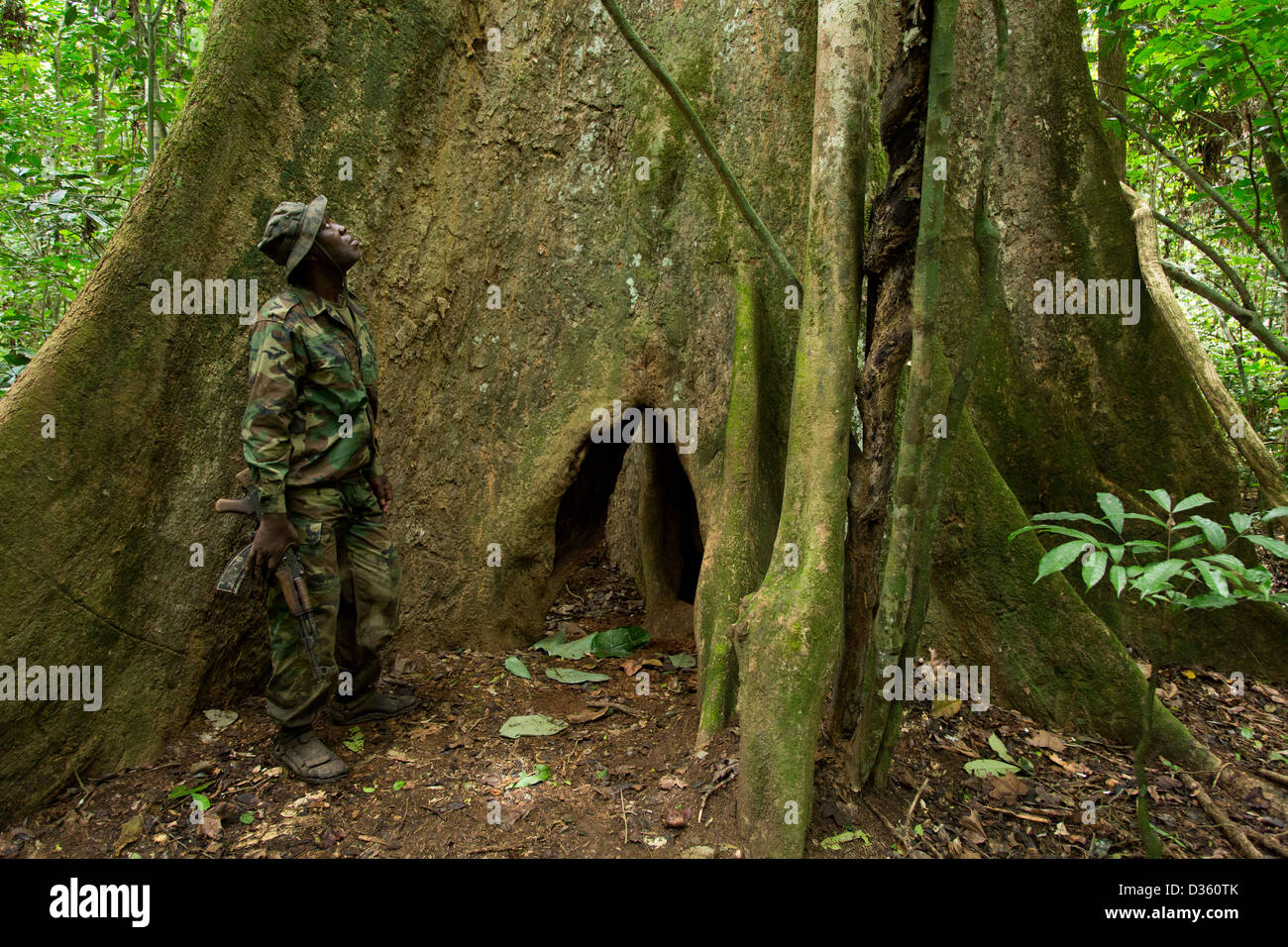 Kongo, 29. September 2012: eine Bi-nationale Gruppe von Ecoguards aus Kamerun und Gabun Patrouille auf der Suche nach Beweisen für Wildtiere Wilderei. Stockfoto