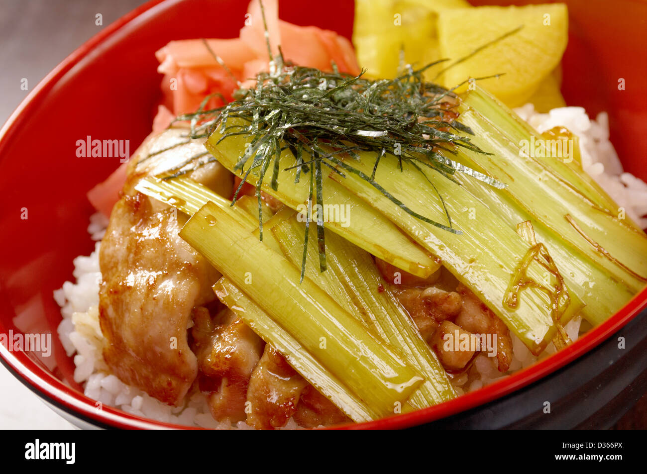 Huhn mit Reis und Bambus. Japanisches Essen Stockfoto