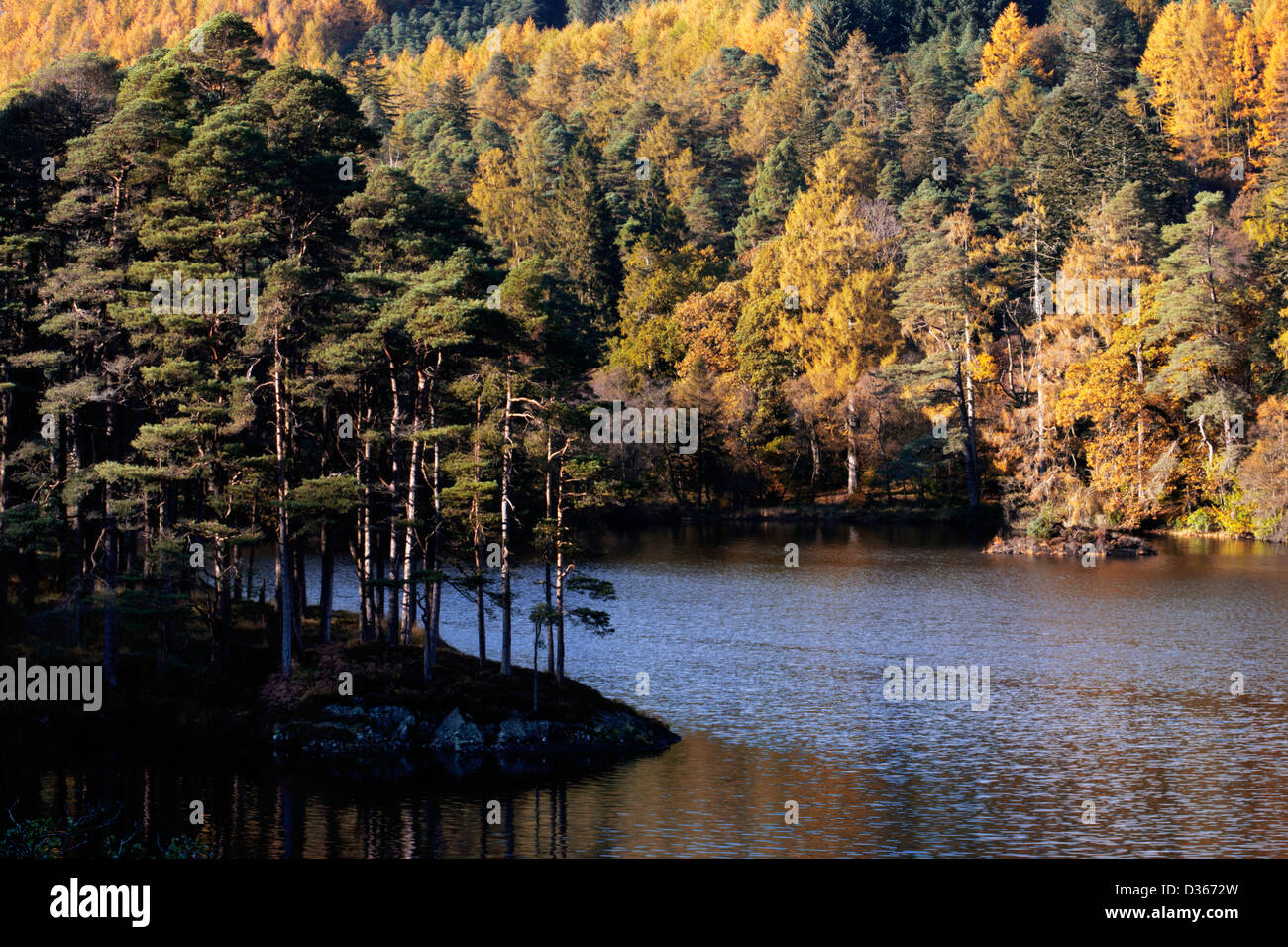 Glen Trool, Dumfries and Galloway, Schottland Stockfoto