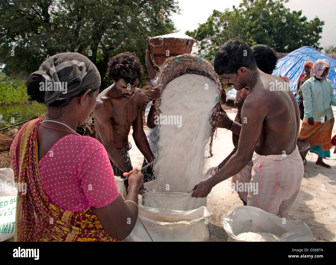 Puducherry (Pondicherry) Indien Tamil Nadu Salzproduktion Stockfoto