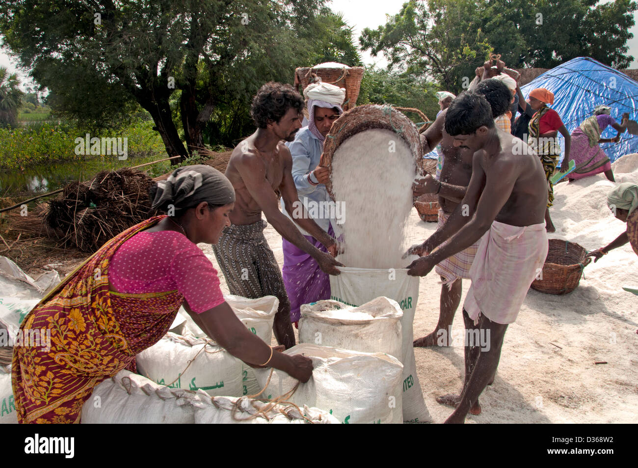 Puducherry (Pondicherry) Indien Tamil Nadu Salzproduktion Stockfoto