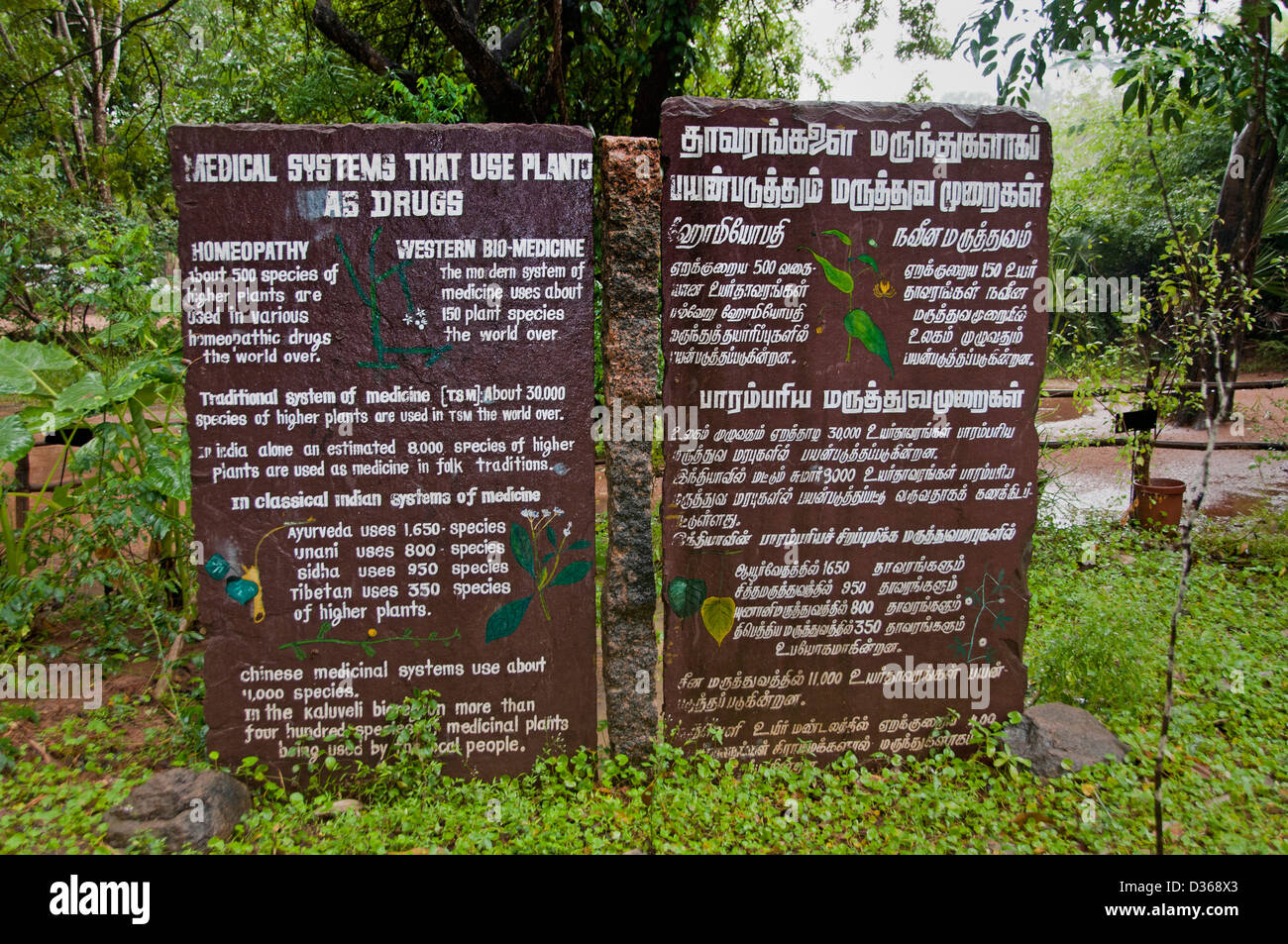 Puducherry (Pondicherry) Indien Tamil Nadu Stockfoto