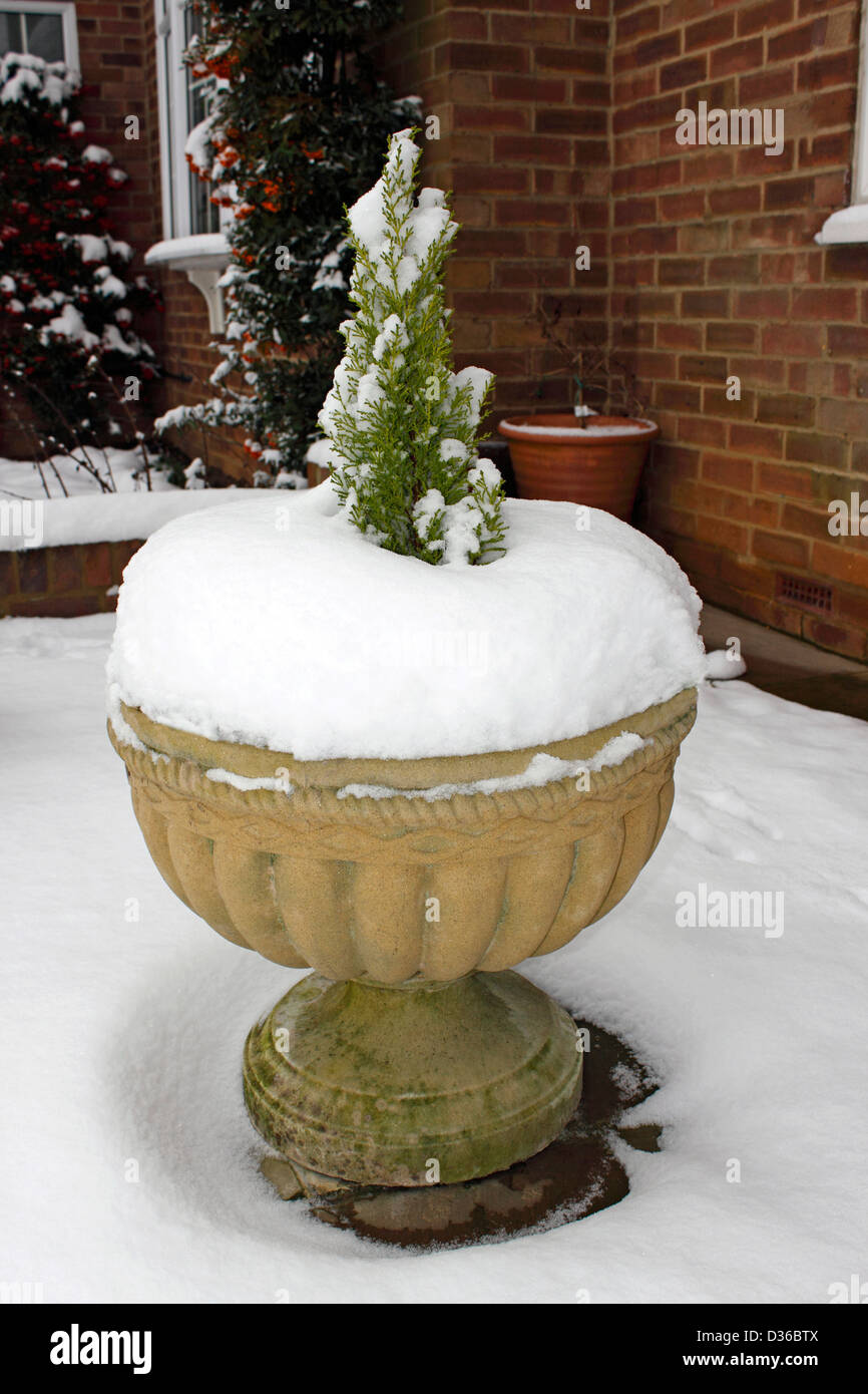 SCHNEEBEDECKTER GARTENCONTAINER MIT NADELHOLZ. VEREINIGTES KÖNIGREICH. Stockfoto