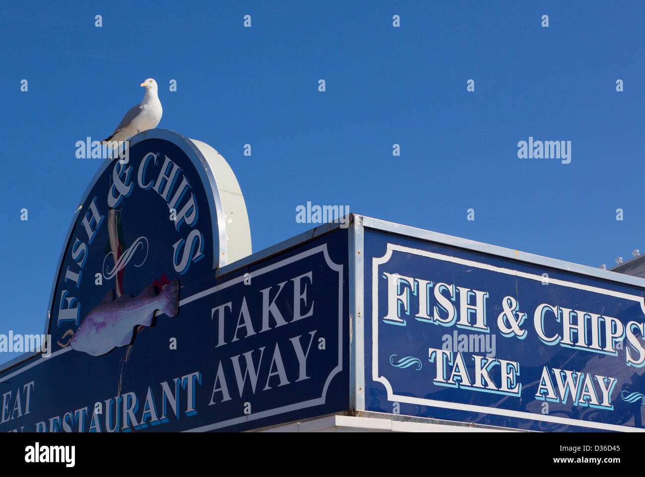 Möwe sitzt auf Fish &amp; Chips Zeichen, Brighton, Sussex, England Stockfoto