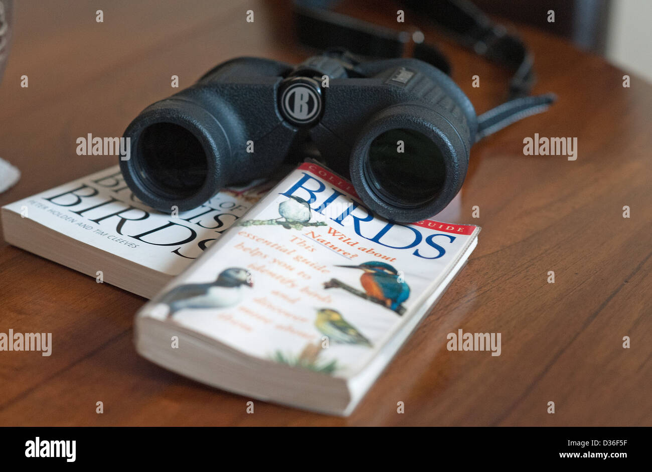 Bushnell Fernglas und Vogel Identifizierung Reiseführer herausgegeben vom RSPB und Collins Stockfoto