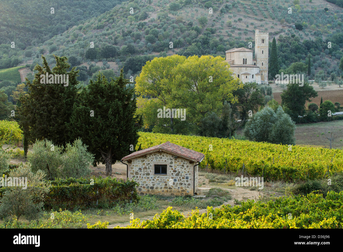 Abtei von San Antimo, Castelnuovo dell'Abate, Montalcino, Toskana, Italien Stockfoto