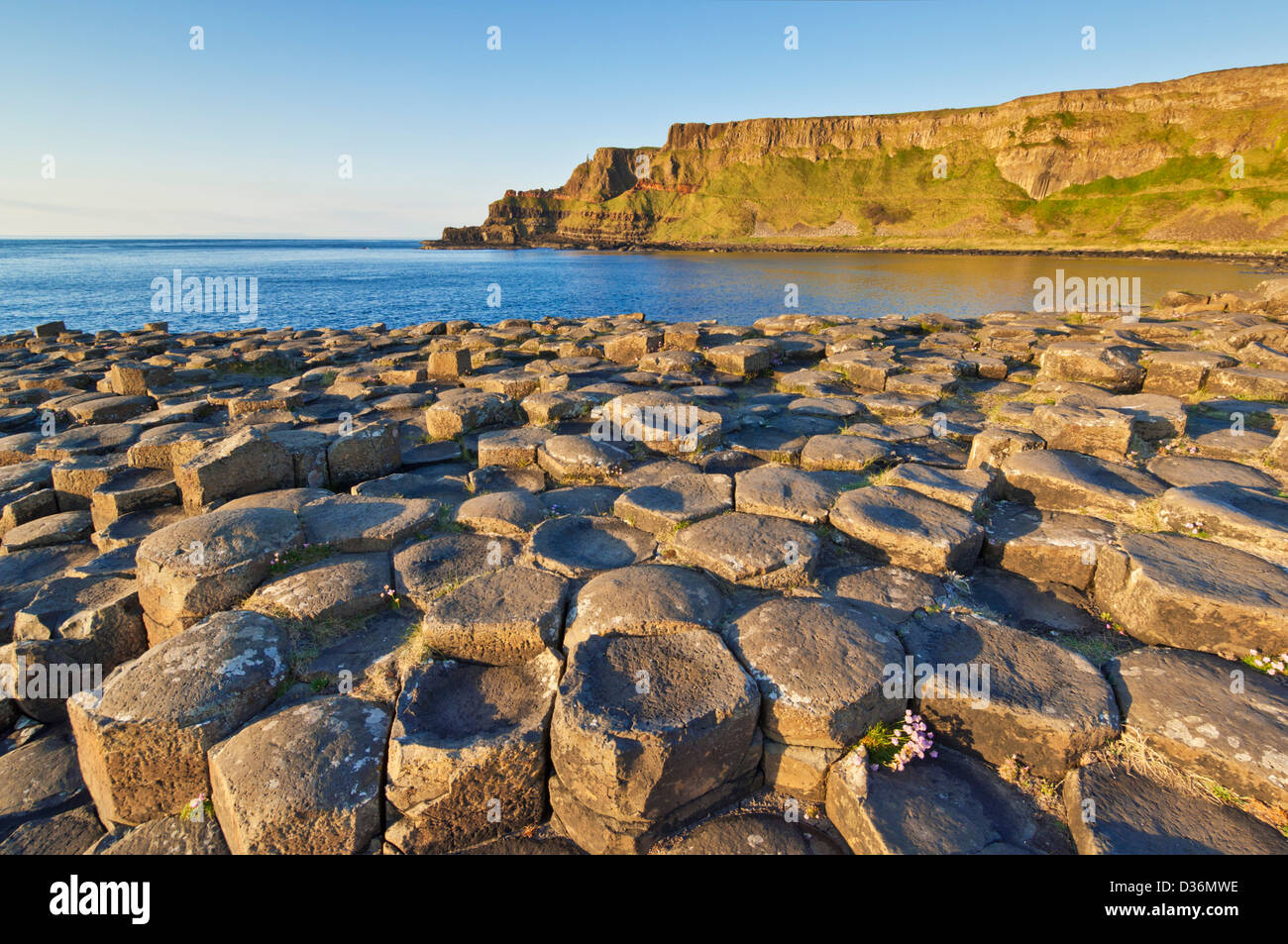 Hexangonal Basaltsäulen von Giants Causeway North Antrim Küste County Antrim Nordirland GB UK EU Europa Stockfoto