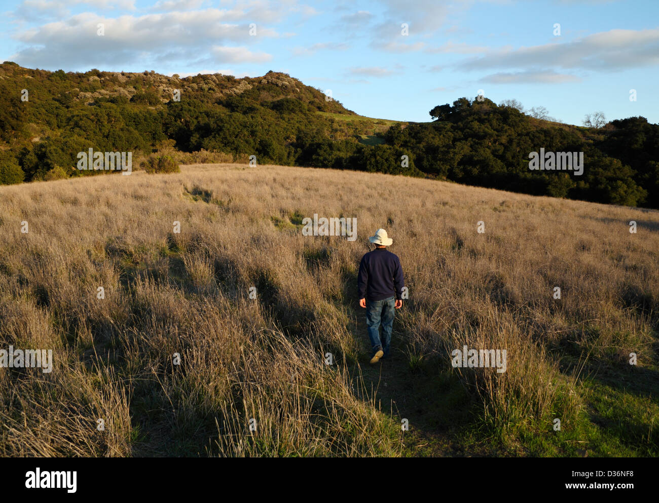 Wanderer auf Wiese Trail auf Trippet Ranch im Topanga State Park in Topanga, Kalifornien Stockfoto