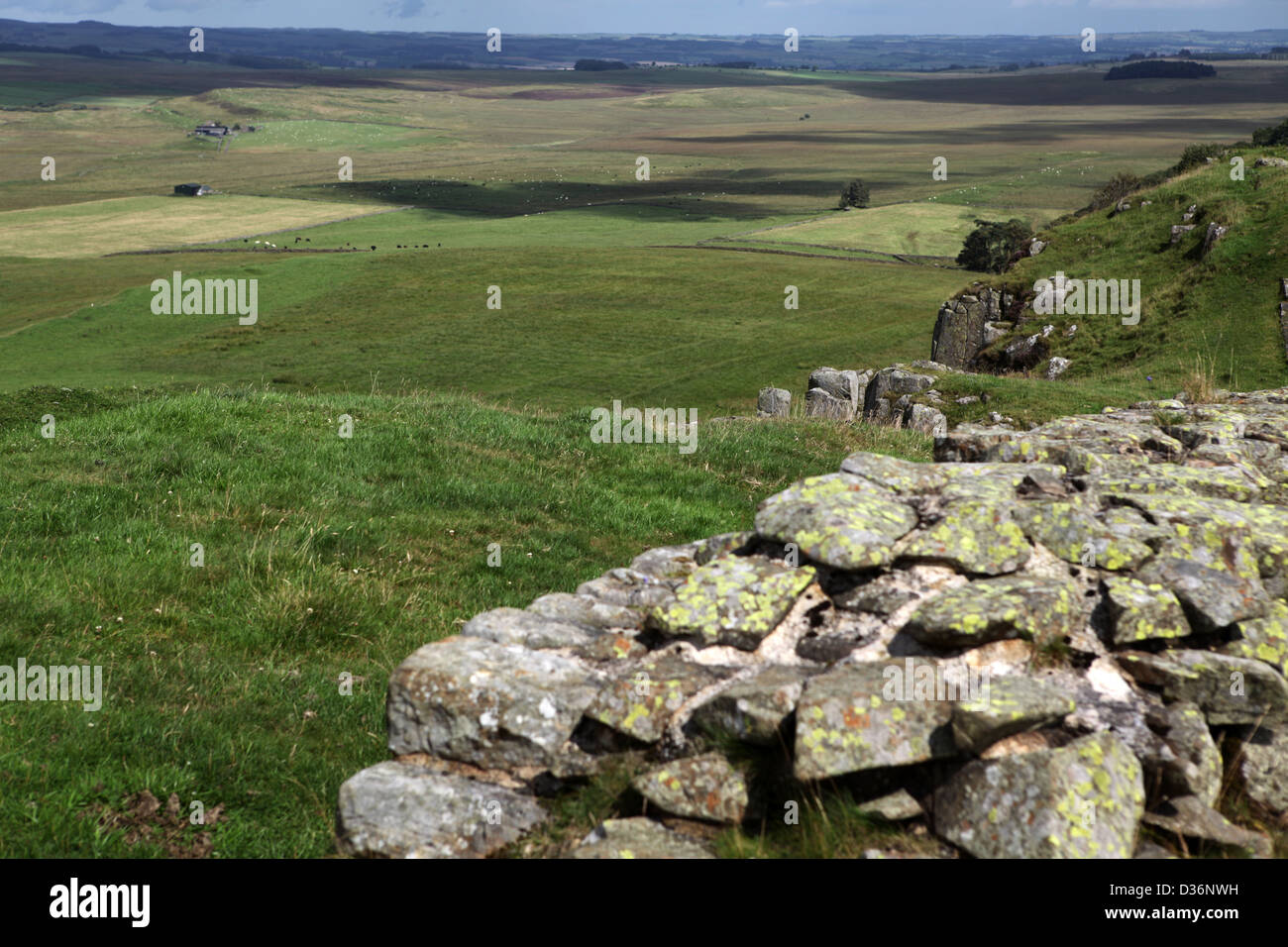 Entlang der Hadrianswall zwischen zweimal gebraut und Chollerford - Northumberland - England - Großbritannien Stockfoto