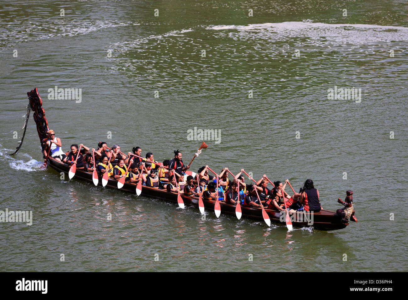 Maori Waka Besatzung paddeln am Fluss Waitangi in Vorbereitung auf Waitangi Day feiern Stockfoto