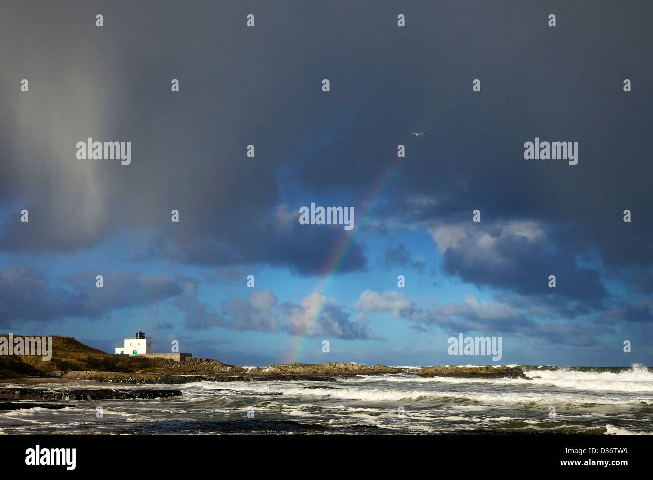 Regenbogen und Surfen auf Harkness Felsen, Bamburgh Leuchtturm, Northumberland, North East England, UK, GB Stockfoto