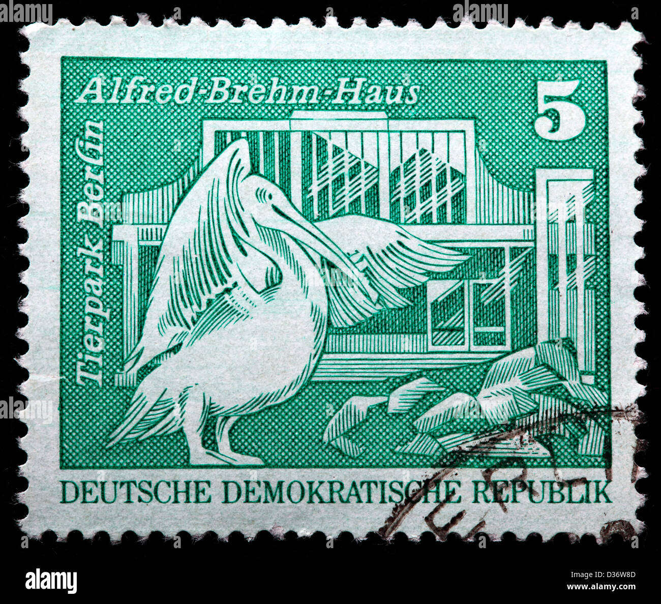 Pelikan, Berliner Zoo, Porto Stempel, Deutschland, 1973 Stockfoto