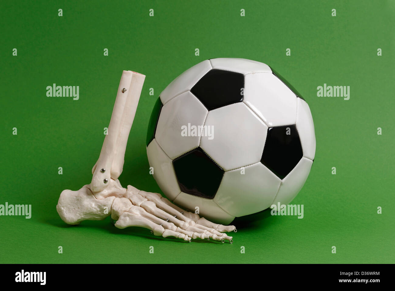 Fußball und ein Fuß-Skelett Stockfoto