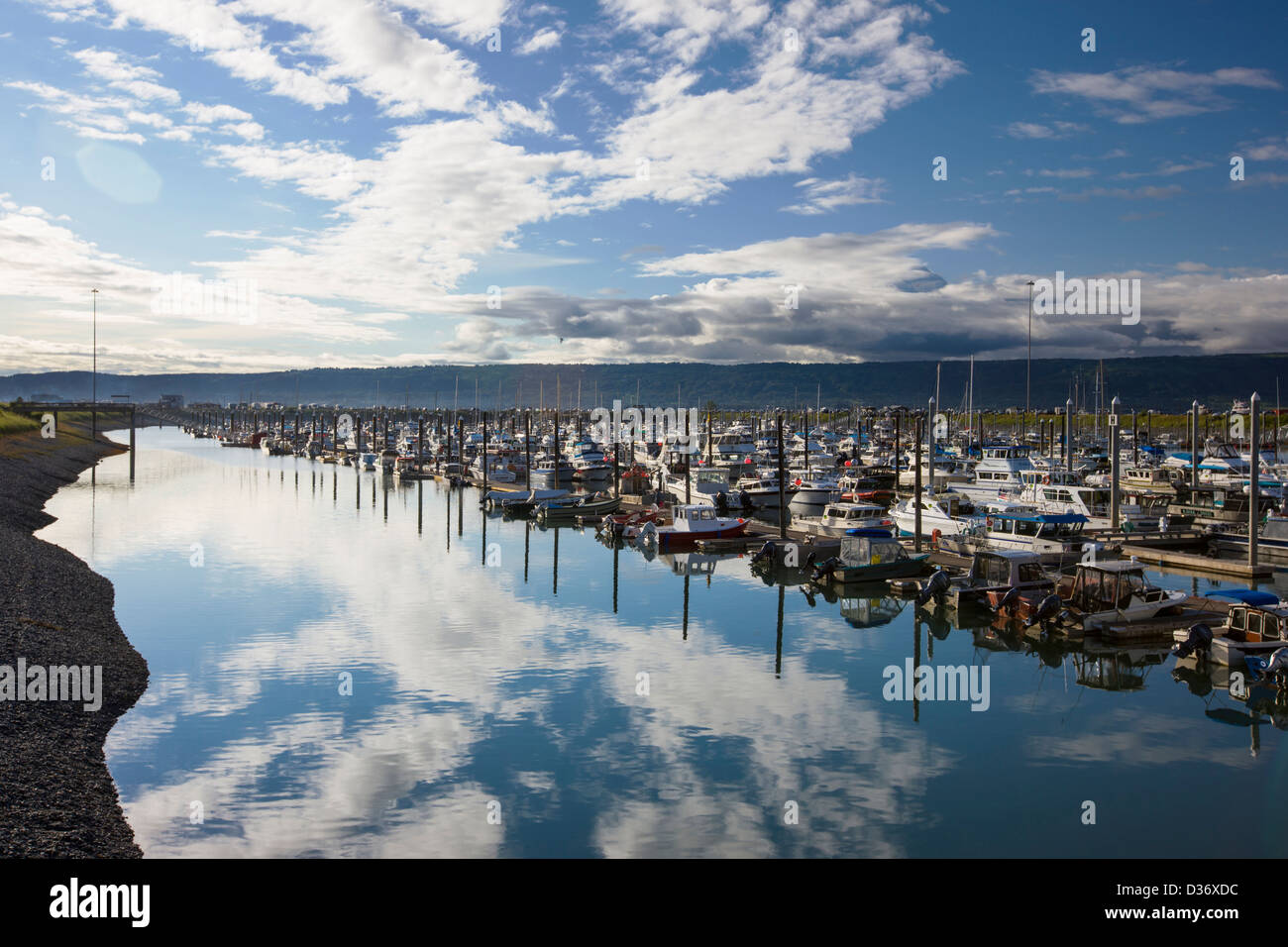 Charta und kommerziellen Fischerboote im Hafen, Homer, Alaska, USA Stockfoto