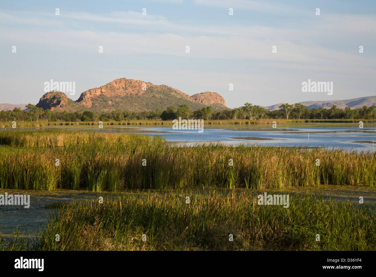 Feuchtgebiete angrenzenden See Kununnura / Ord River in Kununnura, East Kimberley Region, Western Australia. Stockfoto