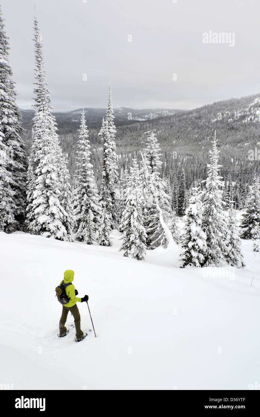 Junge Frau Schneeschuhwandern am Lolo Pass an der Grenze von Montana/Idaho. Stockfoto