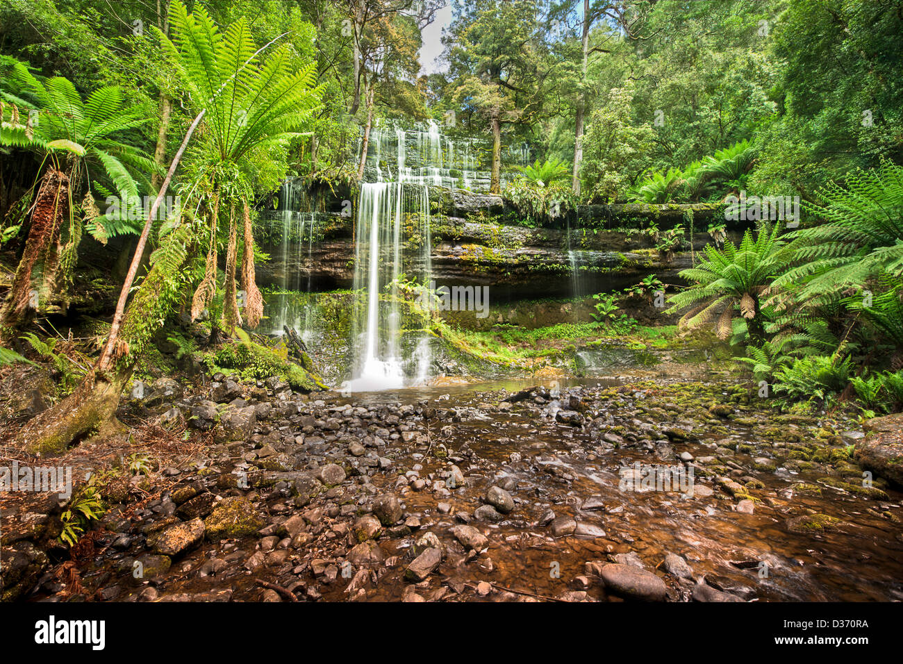 Die schöne und ruhige Russell fällt in Tasmaniens Mt Field National Park. Stockfoto