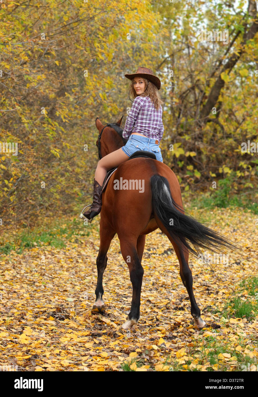 Hübsches Cowgirl mit Pferd im Freien, im Herbst Hintergrund Stockfoto