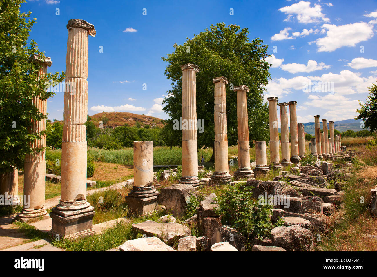 Säulen des römischen Süden Agora, Aphrodisias Ausgrabungsstätte, Türkei Stockfoto