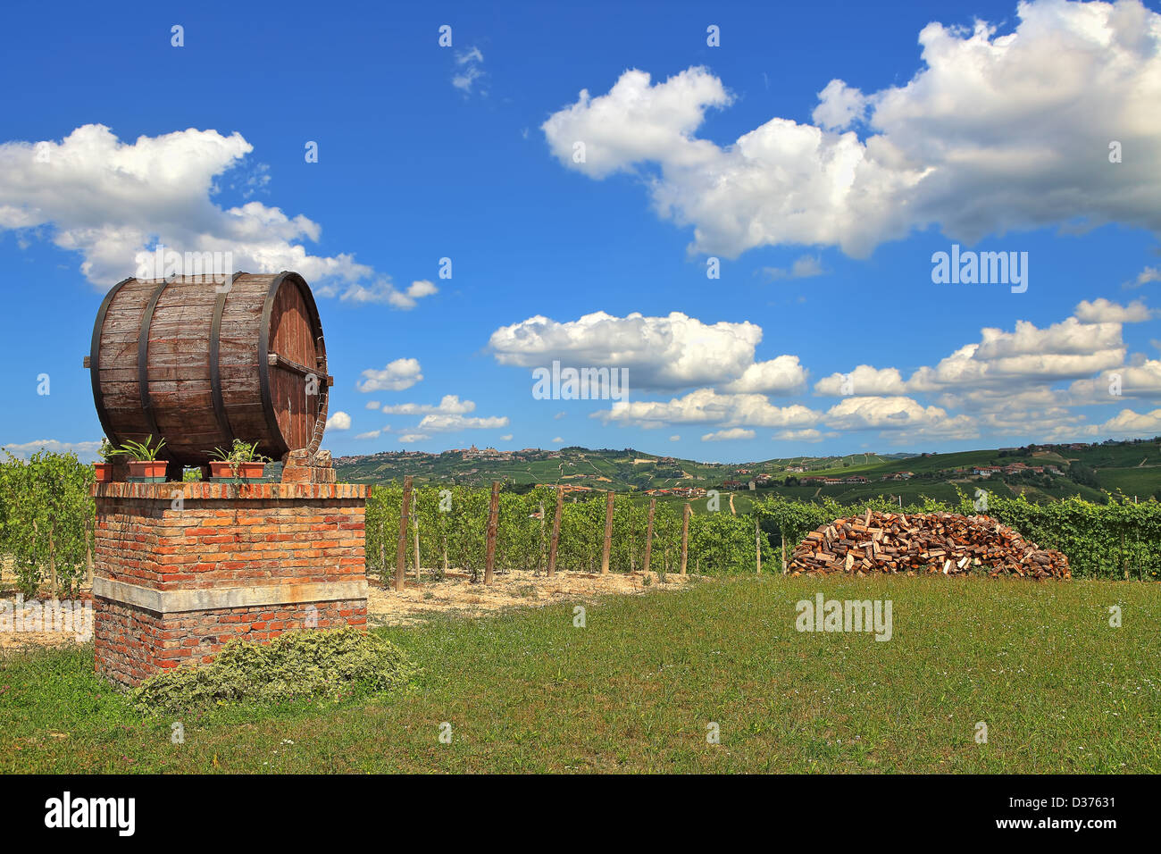Große hölzerne Weinfass und Weinberge unter blauem Himmel mit weißen Wolken im Frühjahr im Piemont, Norditalien. Stockfoto