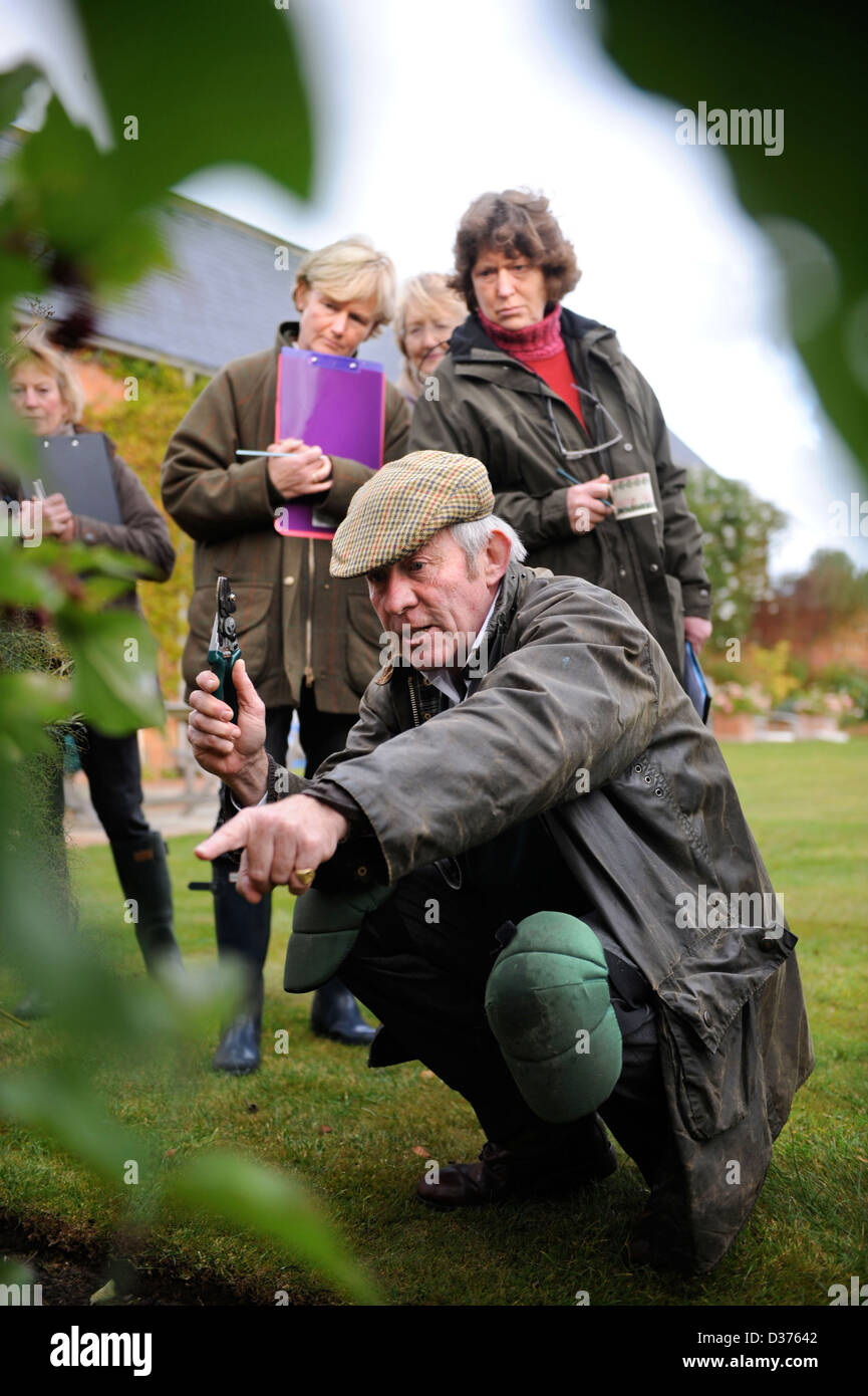 Der Gärtner Roddy Llewellyn mit einem Damen Gartenarbeit Gruppe in