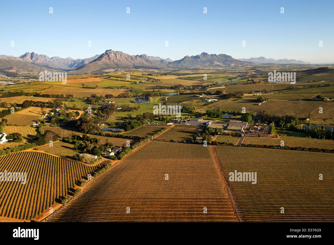 Landschaften der Cape Winelands und Weinbergen in der westlichen Kapregion Wein Stockfoto