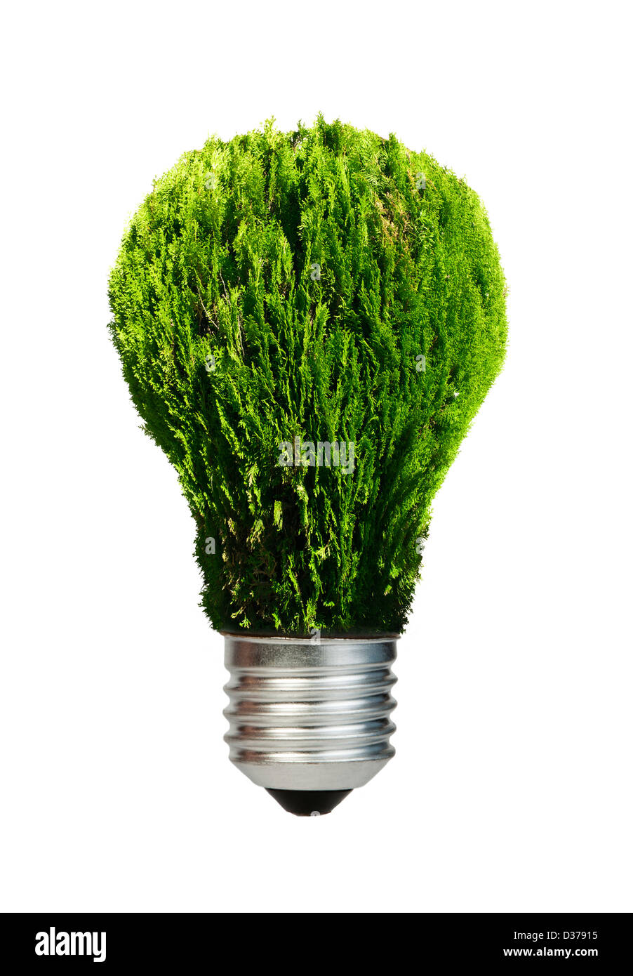 Lampe aus grünen Pflanzen. Ökologie-Konzeption. Blauer Himmel. Stockfoto