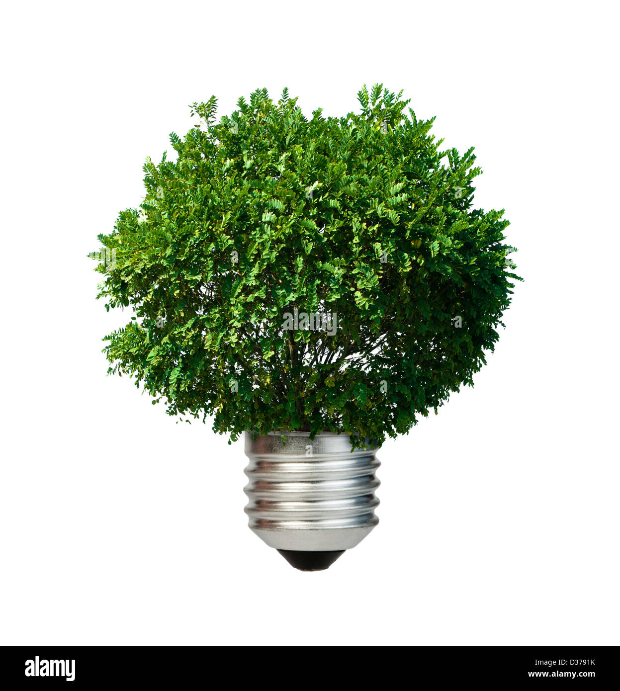 Lampe aus grüner Baum. Ökologie-Konzeption. Blauer Himmel. Stockfoto