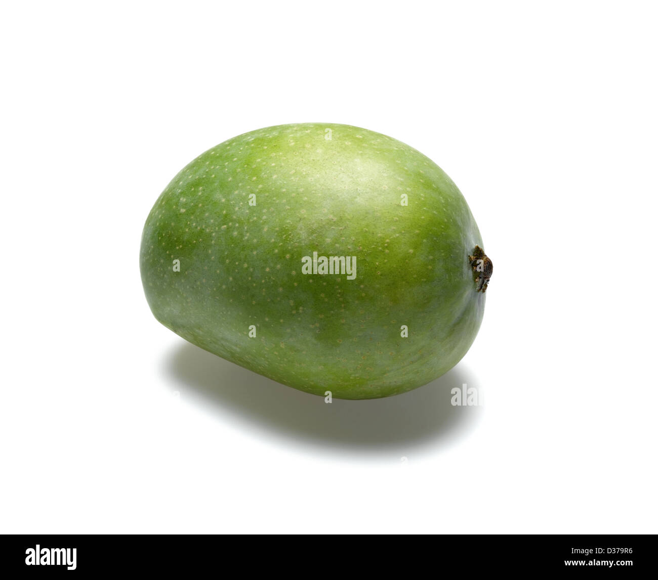 grüne mango Stockfoto