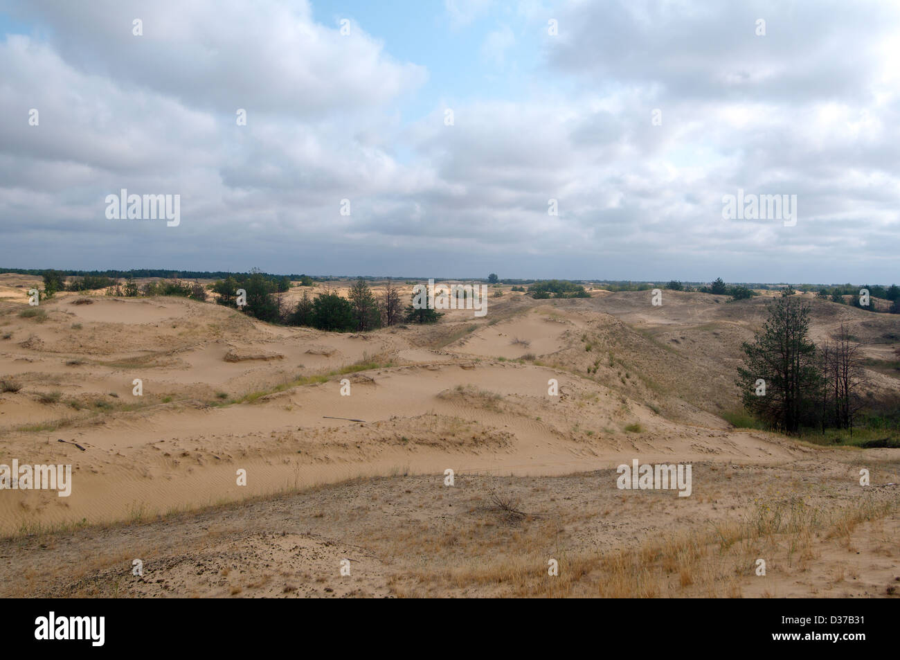 Desert Sands oder Oleshky Oleshky Wüste, die zweitgrößte Wüste Europas und das größte Sand in der Ukraine. Kherson Oblast, Ukraine Stockfoto