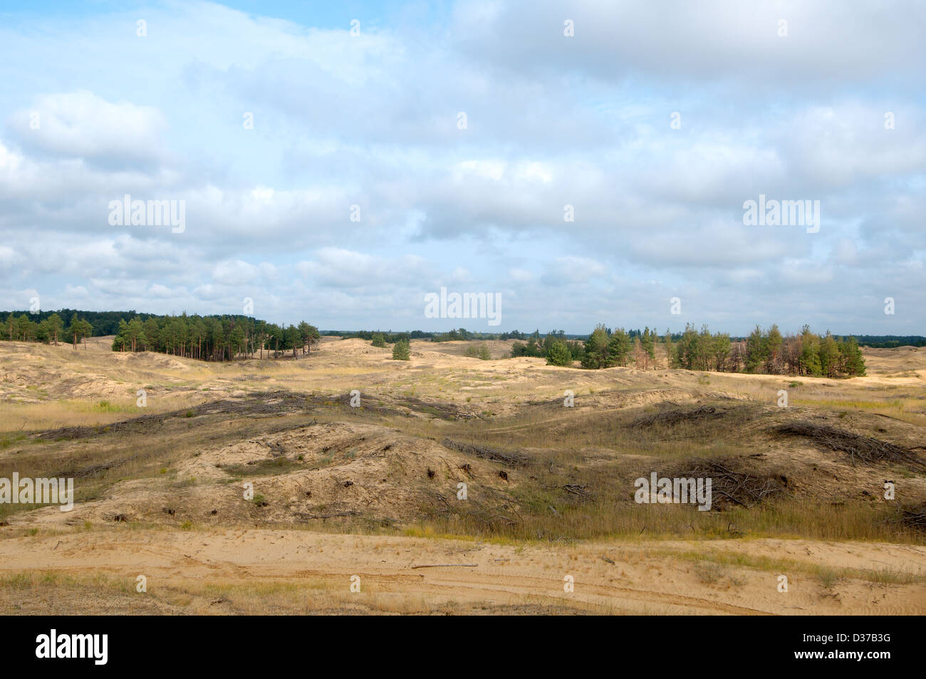 Desert Sands oder Oleshky Oleshky Wüste, die zweitgrößte Wüste Europas und das größte Sand in der Ukraine. Kherson Oblast, Ukraine Stockfoto